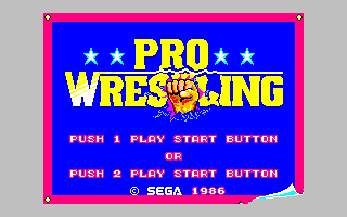 pro_wrestling_title.gif (5735 bytes)